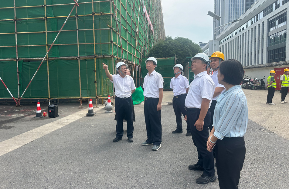 南昌市人大常委會副主任、黨組成員王強一行到新建區(qū)老舊小區(qū)改造項目檢查調(diào)研